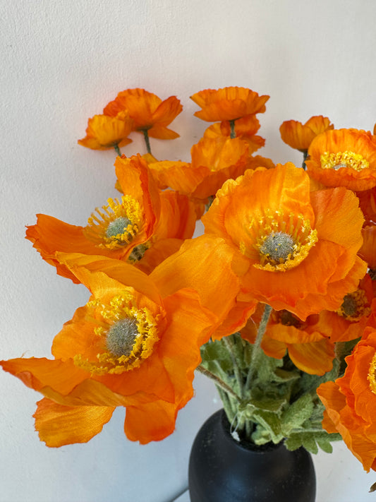 Pipacs - kétféle narancsszín