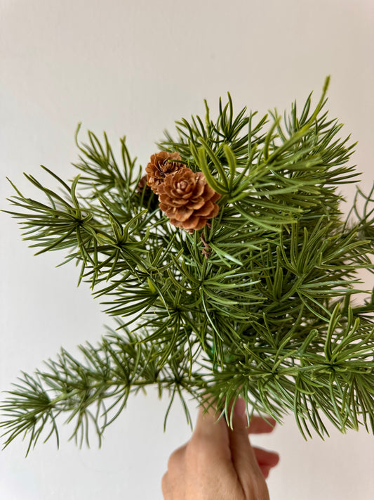 Fenyőcsokor tobozzal