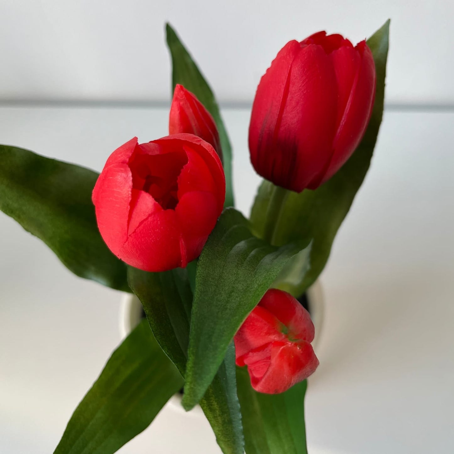A legélethűbb gumi tulipán kaspóban - piros