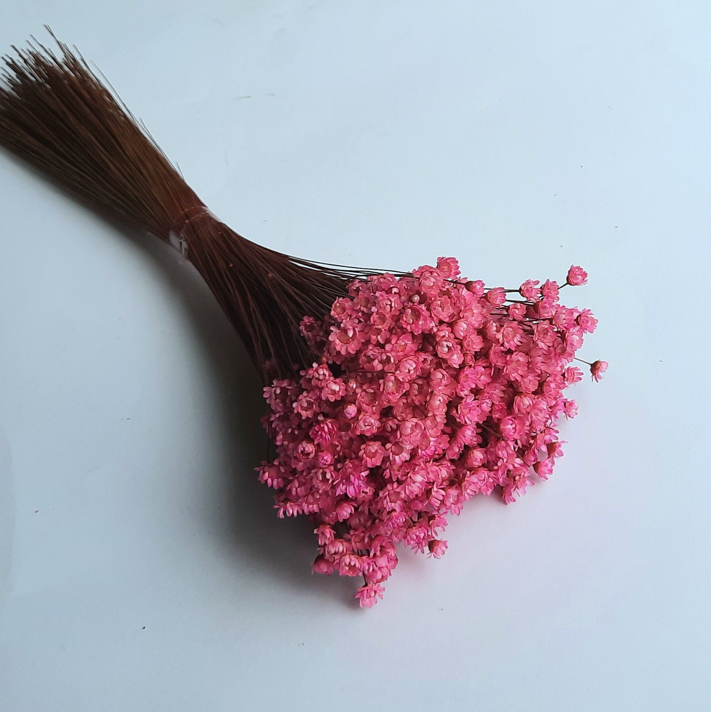 Glixia - pink