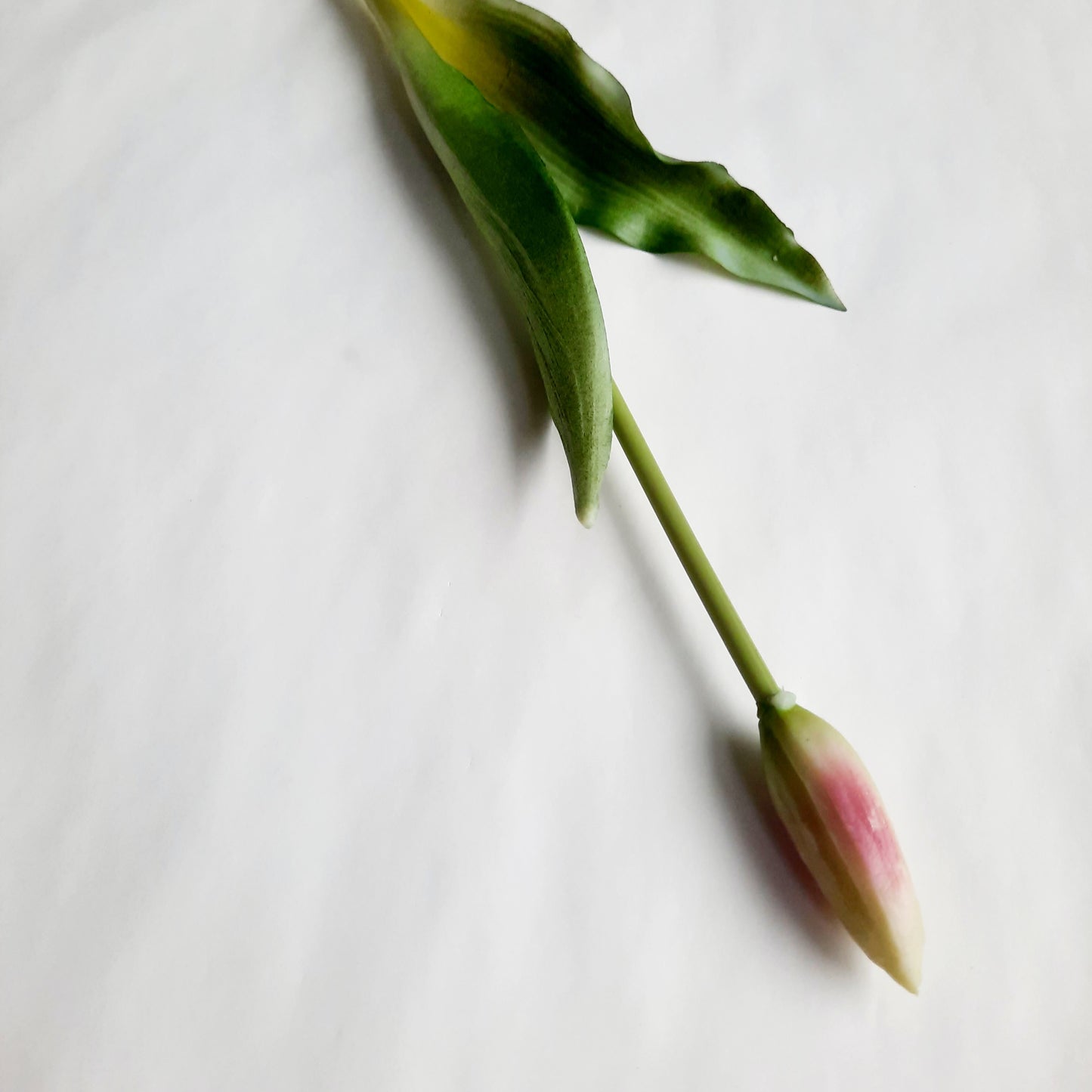A legélethűbb gumi tulipán bimbó - kicsi 7 szín