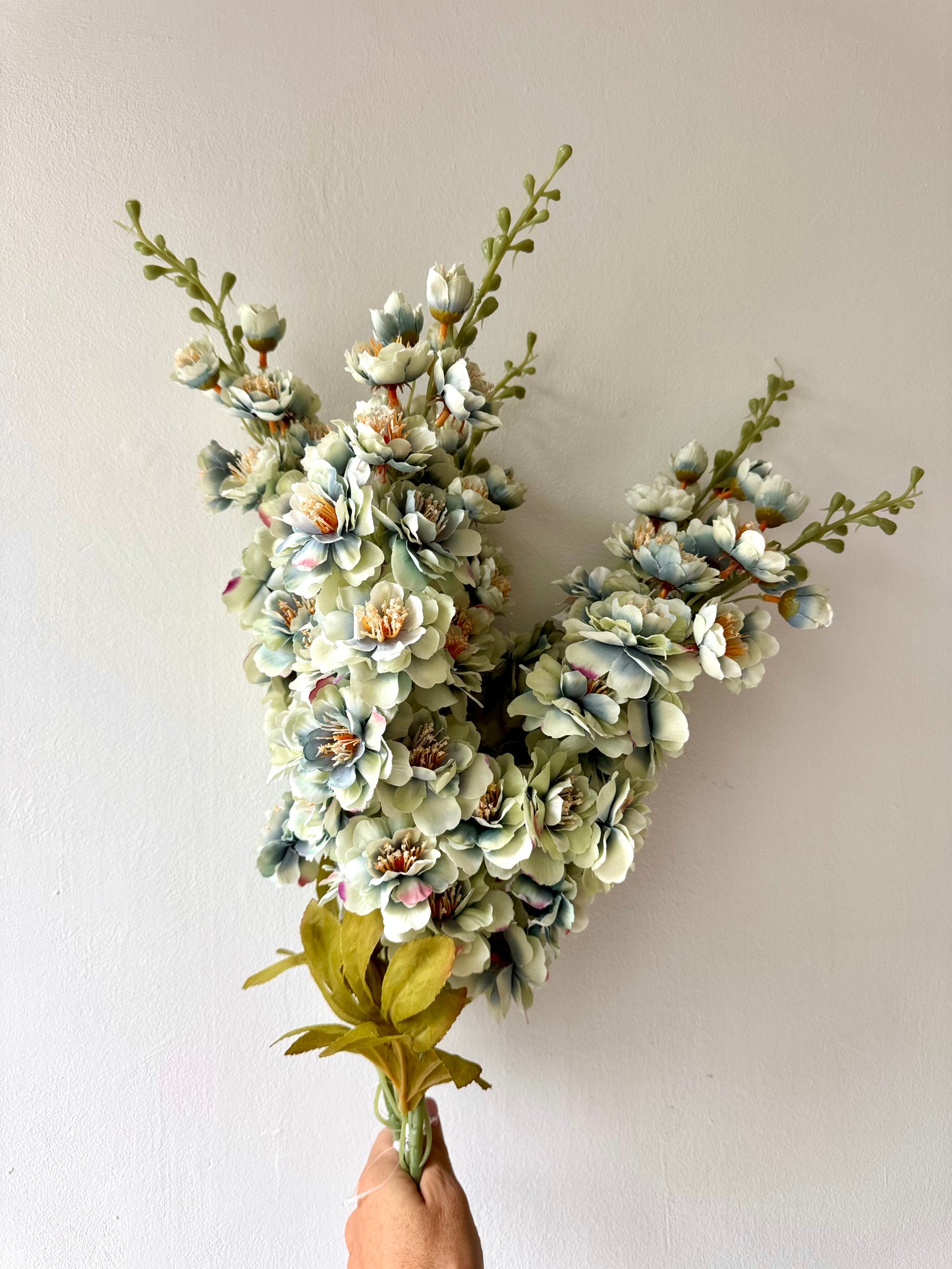 Delphinium