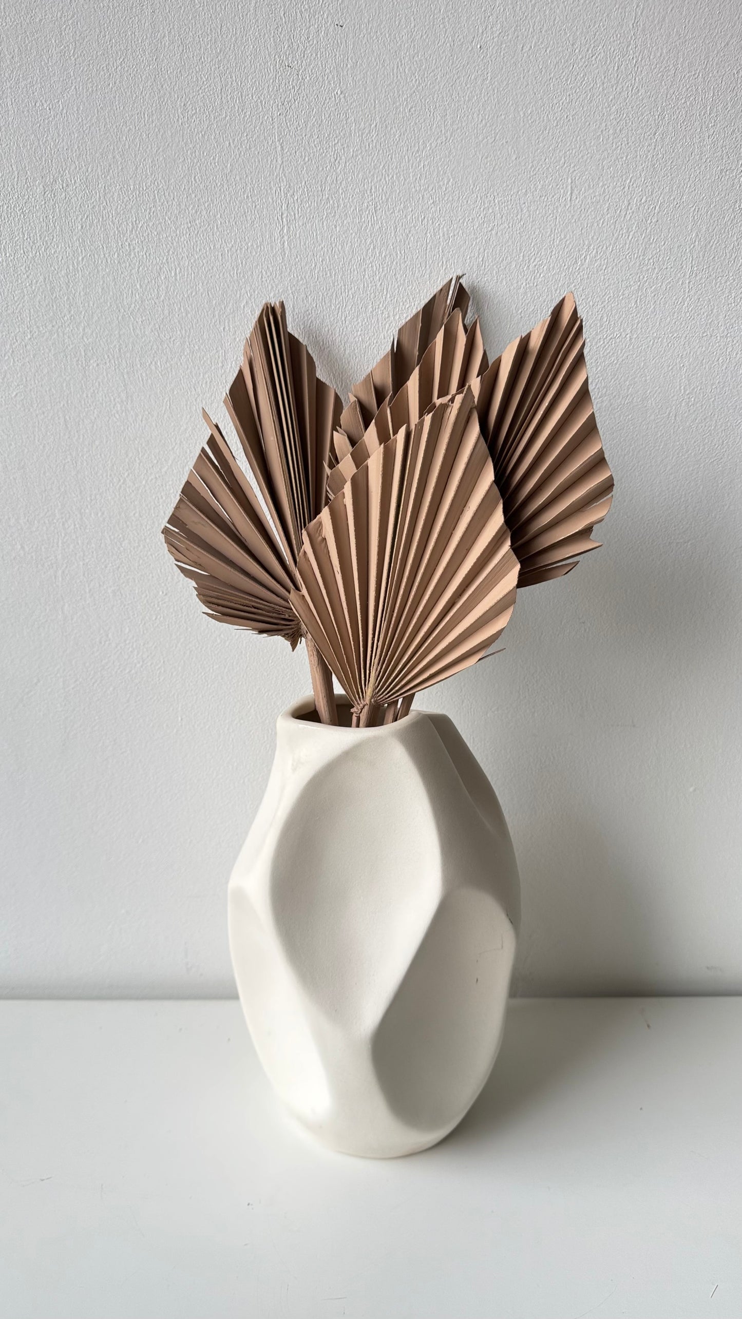 Szárított pálmalevél - cappuccino