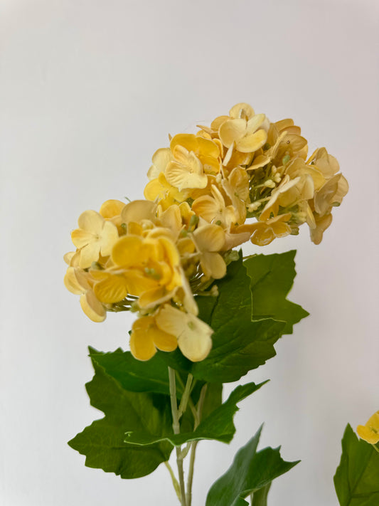 Szálas gumi hortenzia