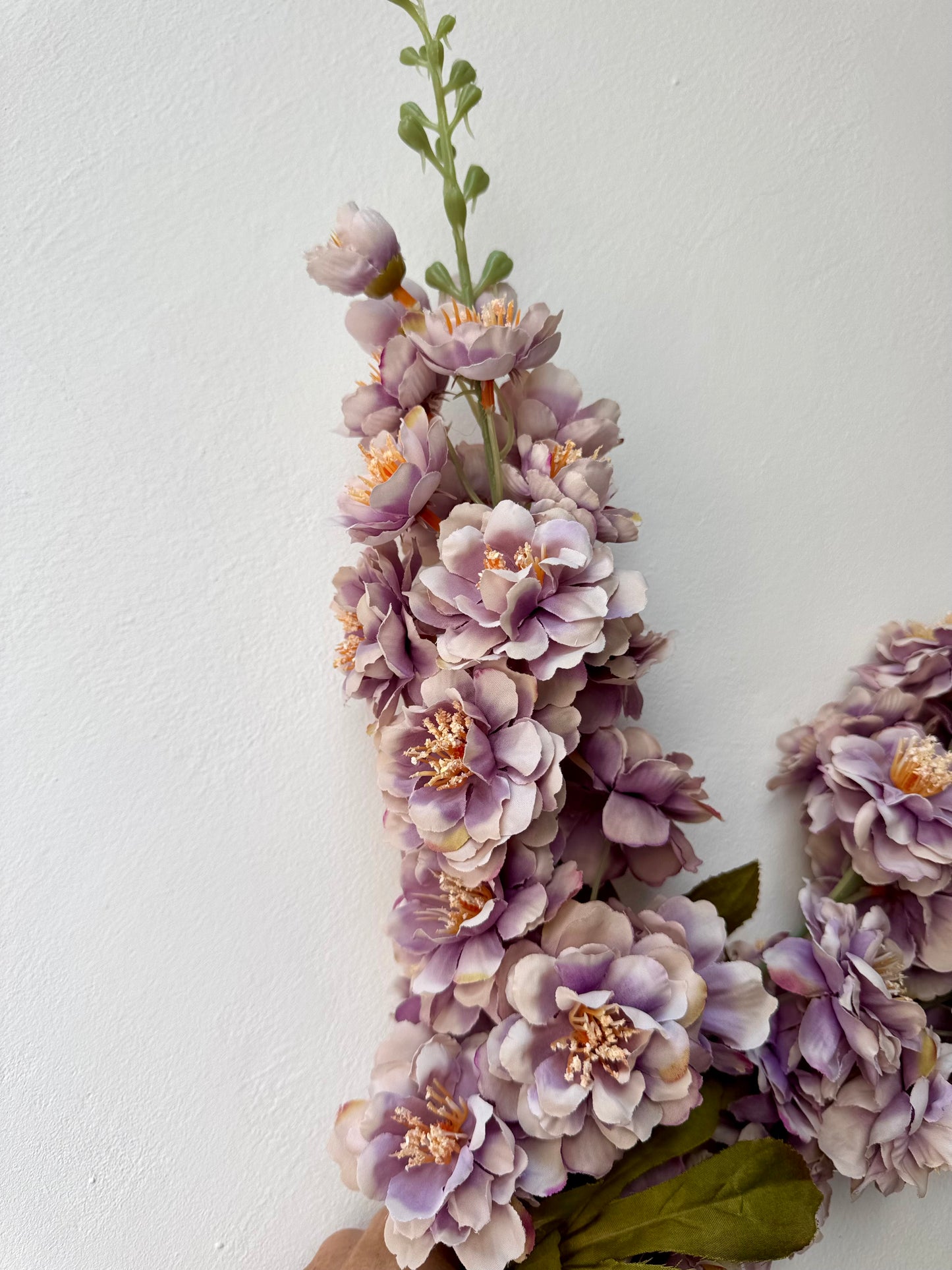 Delphinium