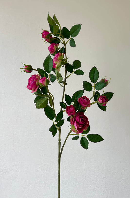 Apró fejű pink rózsa szál