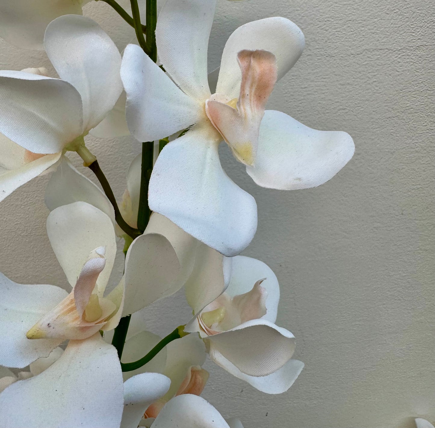 Fehér orchidea csokorban