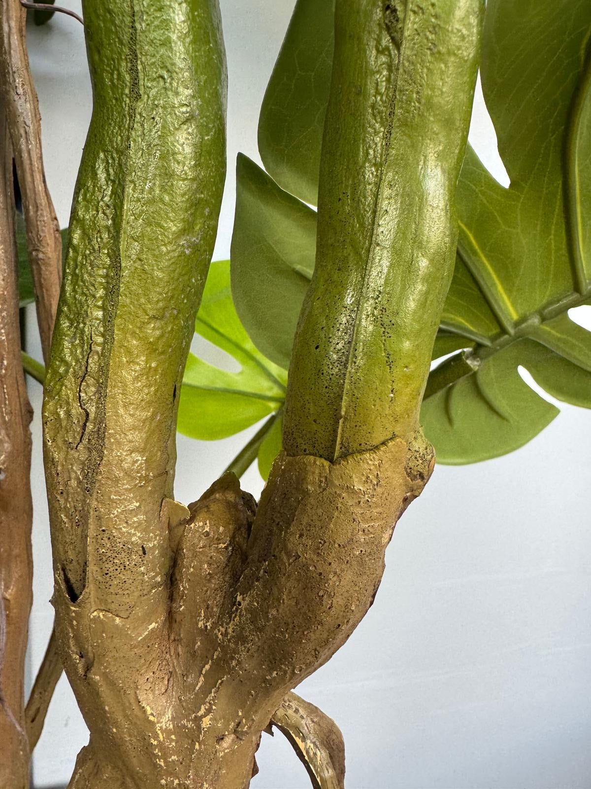 Cserepes monstera - 190 cm
