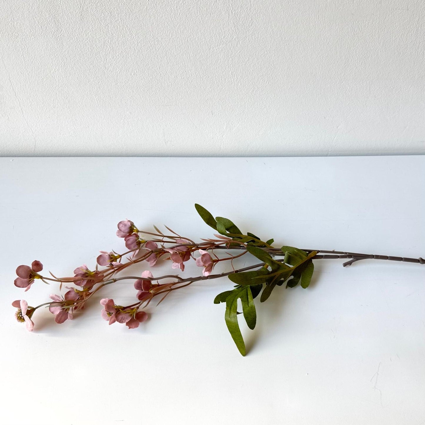 Szálas rózsaszín kisvirág