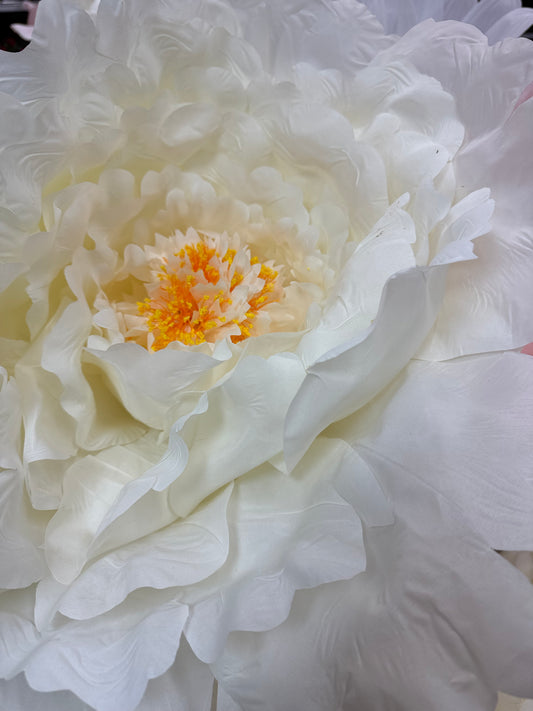 Óriás virág - 130x45 és 150x55cm - krém peonia XL
