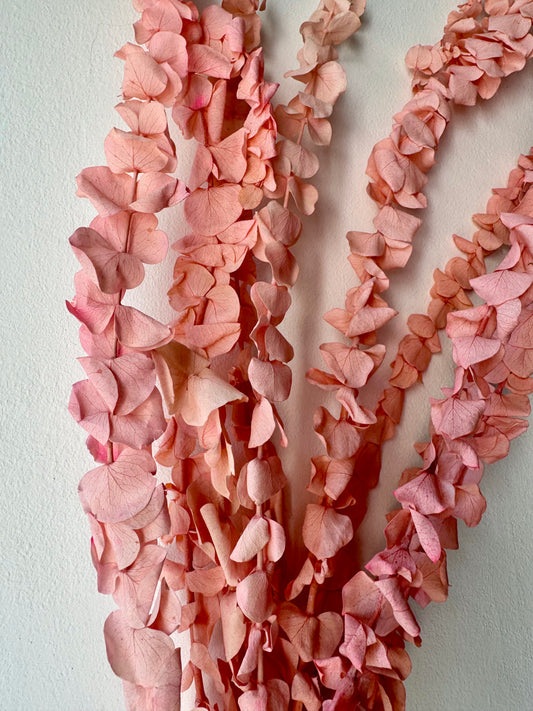 Preparált púder rózsaszín eukaliptusz