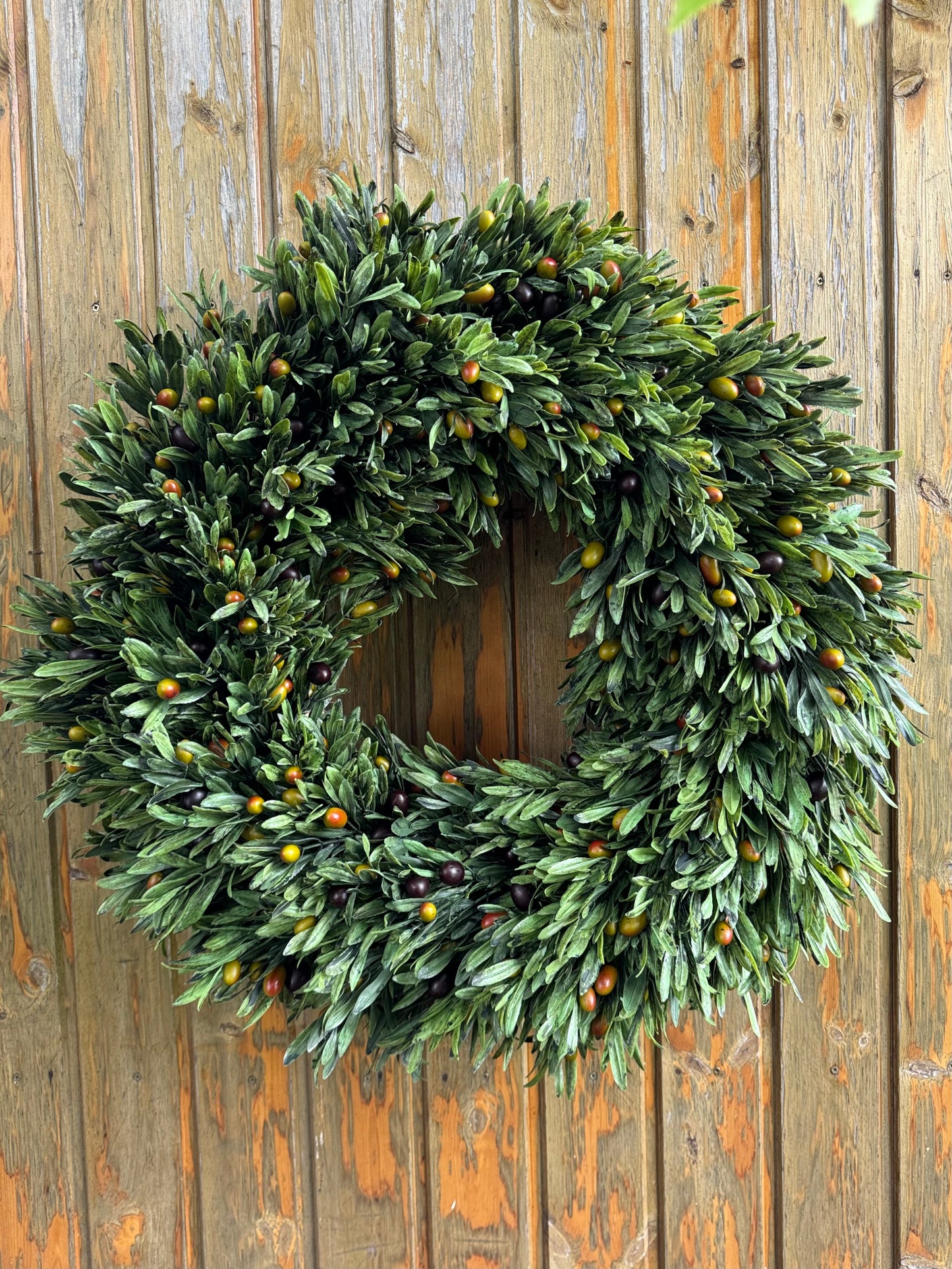 Olajfalevél koszorú