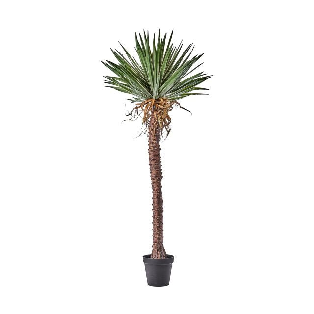 Yucca műnövény 180 cm