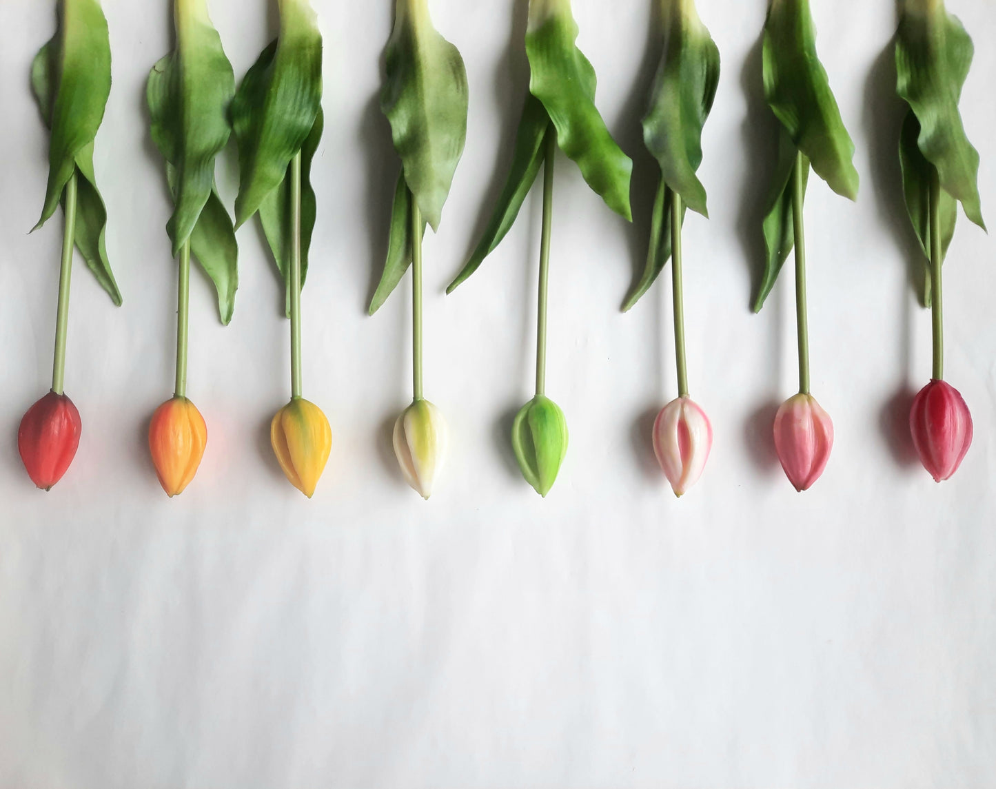 A legélethűbb gumi tulipán bimbó - nagy