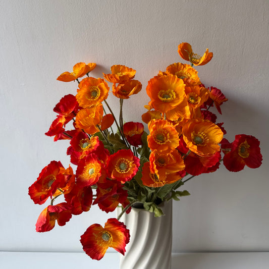 Pipacs - kétféle narancsszín