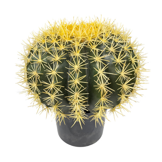 Gömbkaktusz - 30 cm