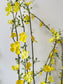 Yellow branch with small flowers - more options