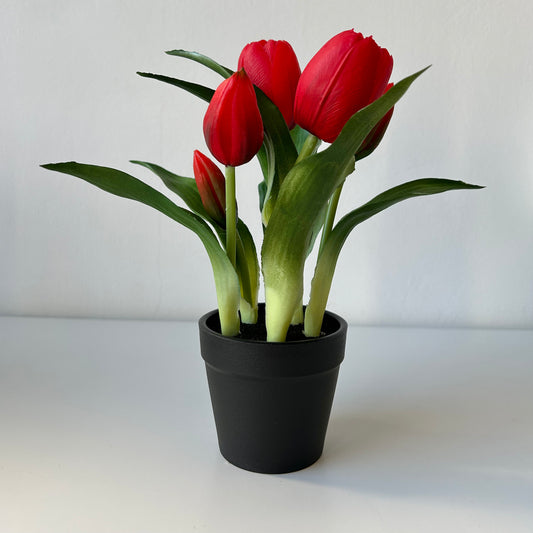 The most lifelike red rubber tulip in a pot