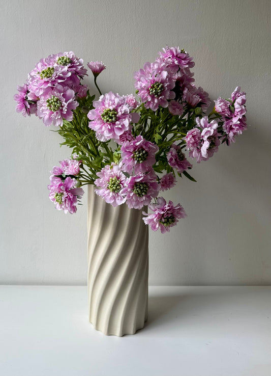 Scabiosa rózsaszín