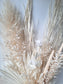 Weißer Pampaspalmenstrauß - groß