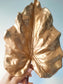 Bright calla leaf 73 cm