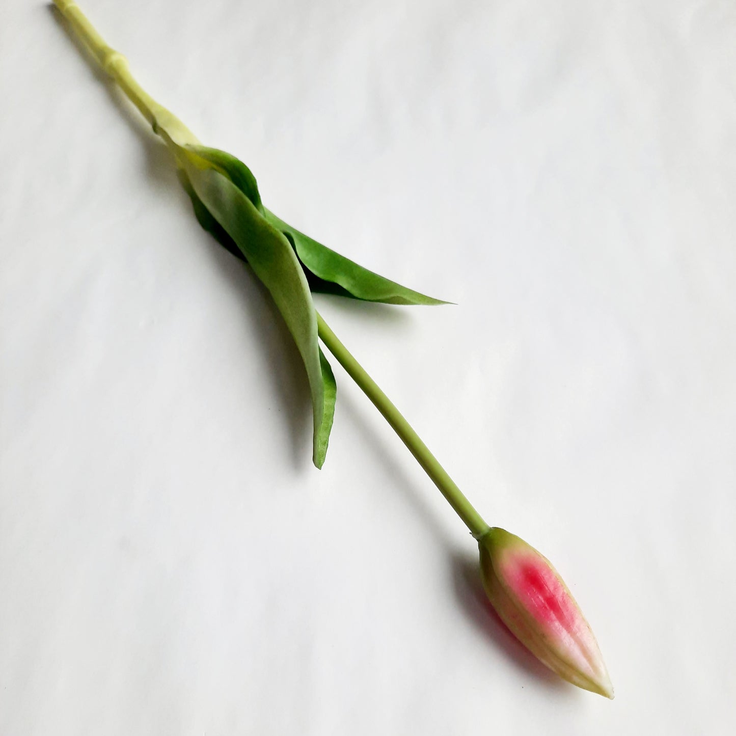 A legélethűbb gumi tulipán bimbó - kicsi 7 szín