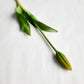 The most lifelike rubber tulip bud - small 7 colors