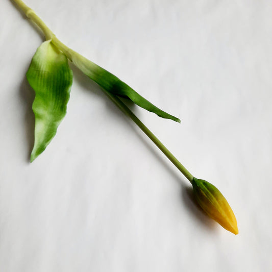 A legélethűbb gumi tulipán bimbó - kicsi 7 szín