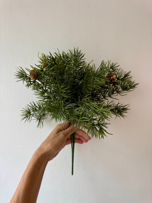 Fenyőcsokor tobozzal