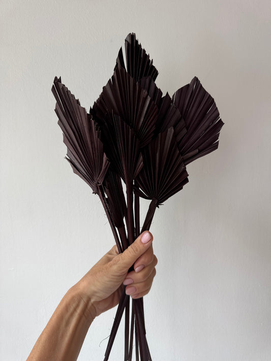 Szárított pálmalevél - sötétbarna