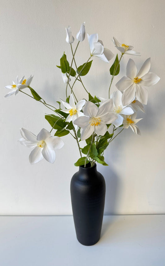 Stringy white spring flower