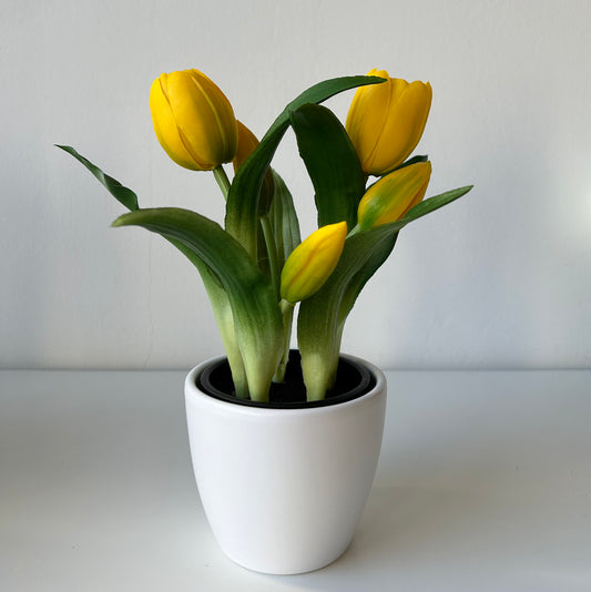 A legélethűbb sárga gumi tulipán kaspóban