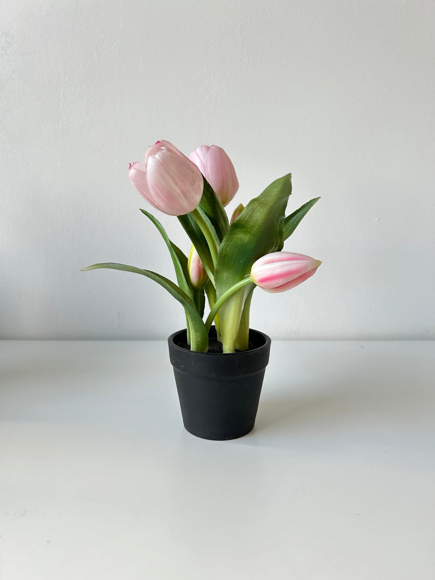 A legélethűbb rózsaszín gumi tulipán kaspóban