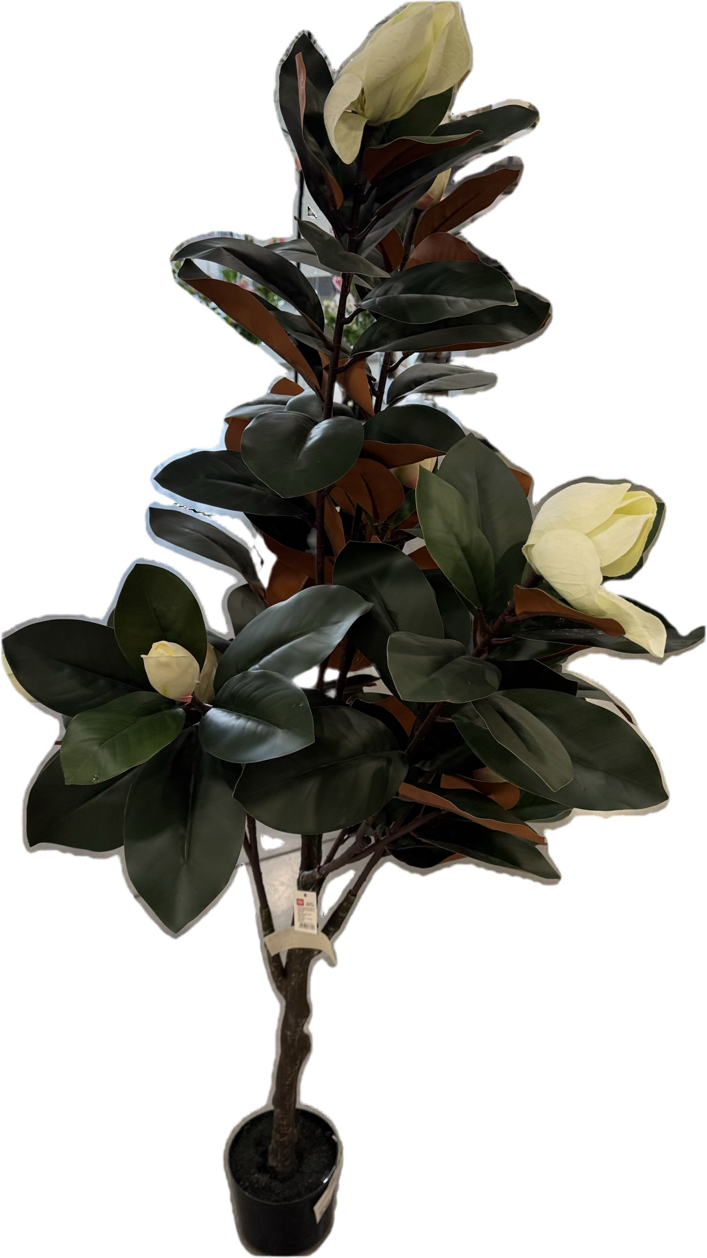 Magnolia artificial plant 155 cm