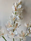 Fehér orchidea csokorban