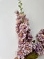 Delphinium