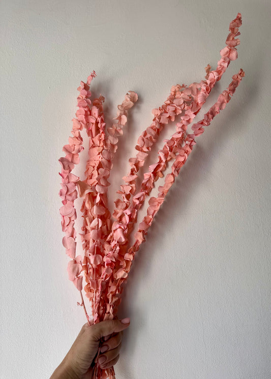 Preparált púder rózsaszín eukaliptusz