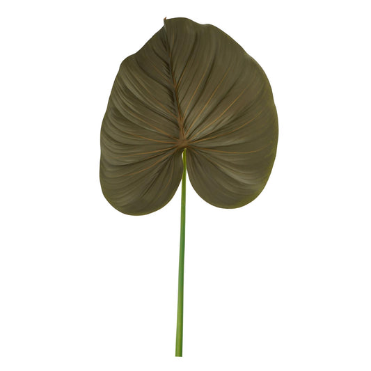 Óriás levél, 75cm