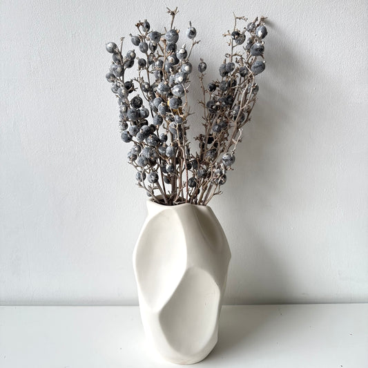 Bogyós ág eukaliptusz