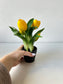 A legélethűbb sárga gumi tulipán kaspóban