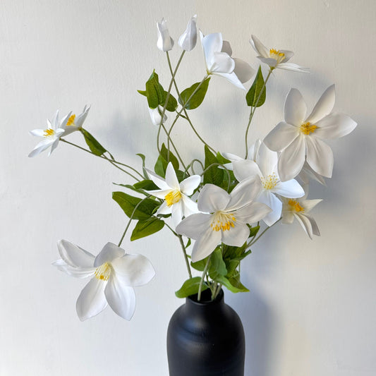 Stringy white spring flower