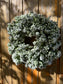 Winter door decoration with berries