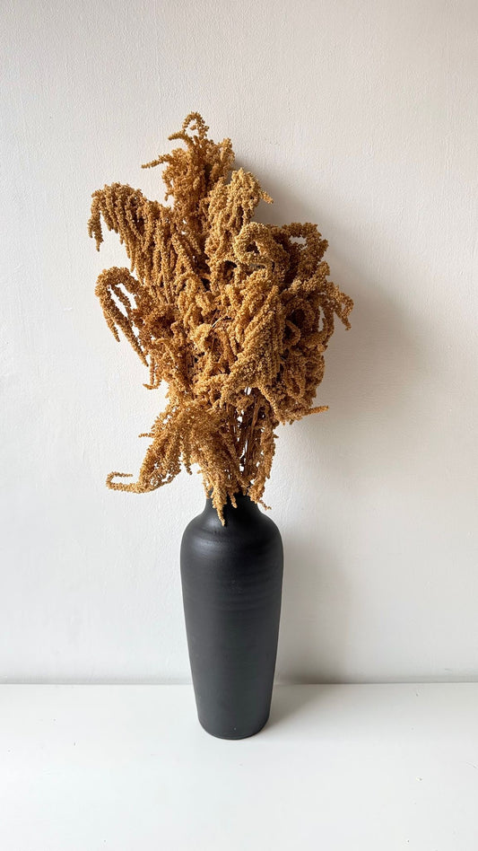 Dried plant