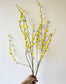 Yellow branch with small flowers - more options