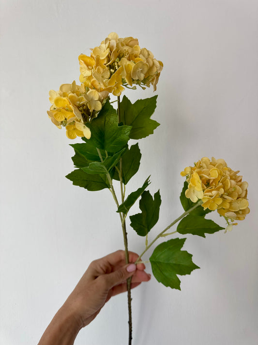 Szálas gumi hortenzia