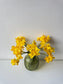 Daffodil bouquet