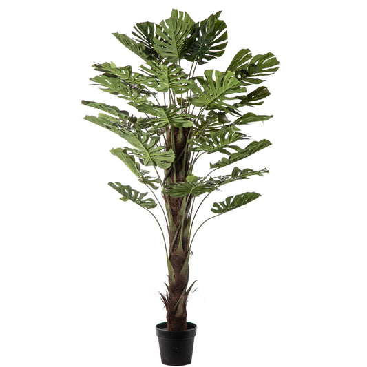 Filodendron műnövény 170 cm