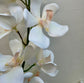 Fehér orchidea csokorban