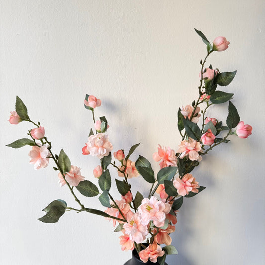 Branch with peach blossoms