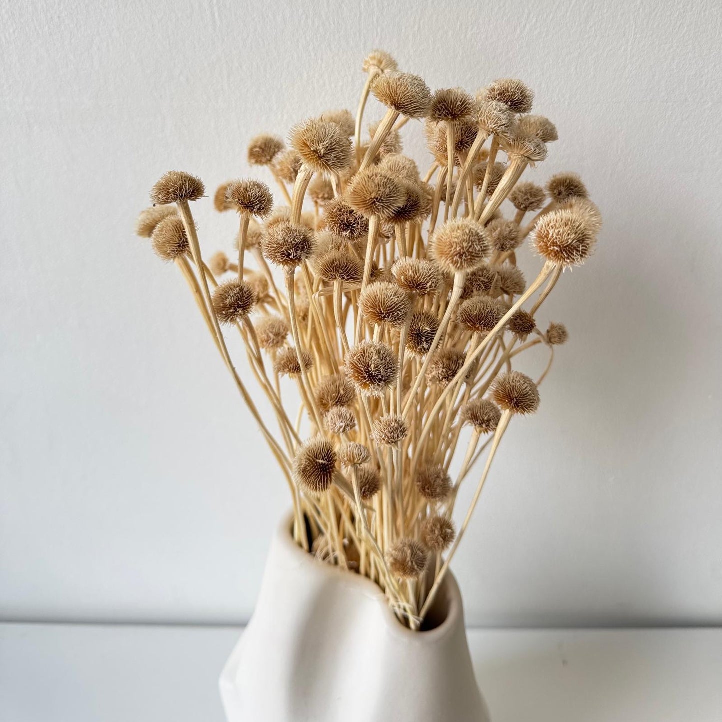 Dried plant